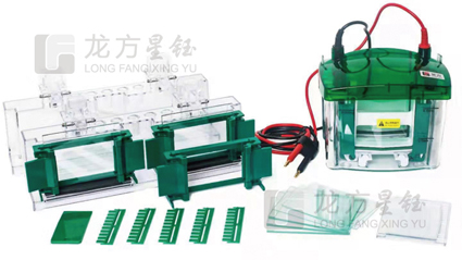LF-Mini4.jpg